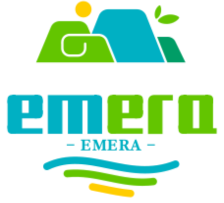 Emeraldwealthholdingsllc Store