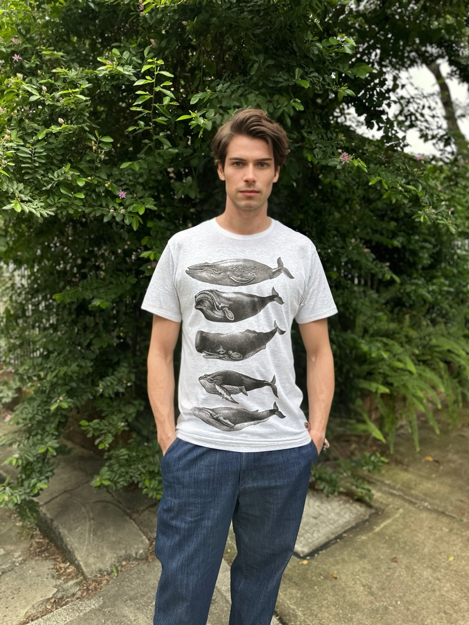 Whales Grey Marle Mens Tee