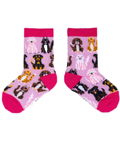 Spencer Flynn: Cats & DogsKid Socks Ages 2-4