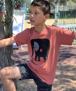 Elephant+Bird Ginger Spice Kids Tee