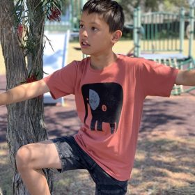 Elephant+Bird Ginger Spice Kids Tee